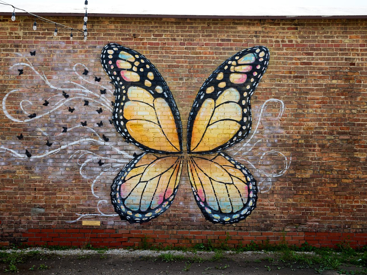 Silken Ties and&nbsp;Butterflies