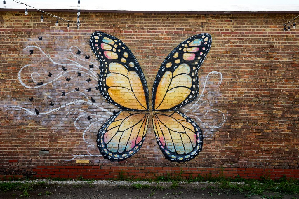 Butterfly Mural